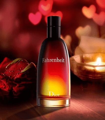 Parfum Fahrenheit Dior - Eau de Toilette - Pour hommes